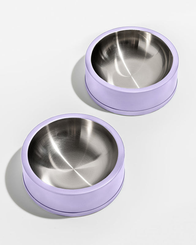 Wild One Dog Bowl- Lilac