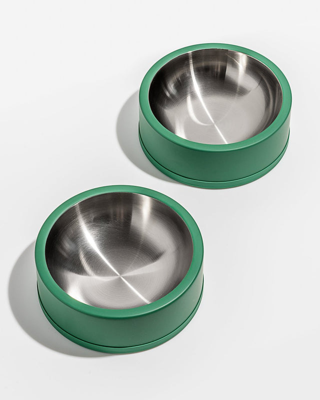 Wild One Dog Bowl- Spruce