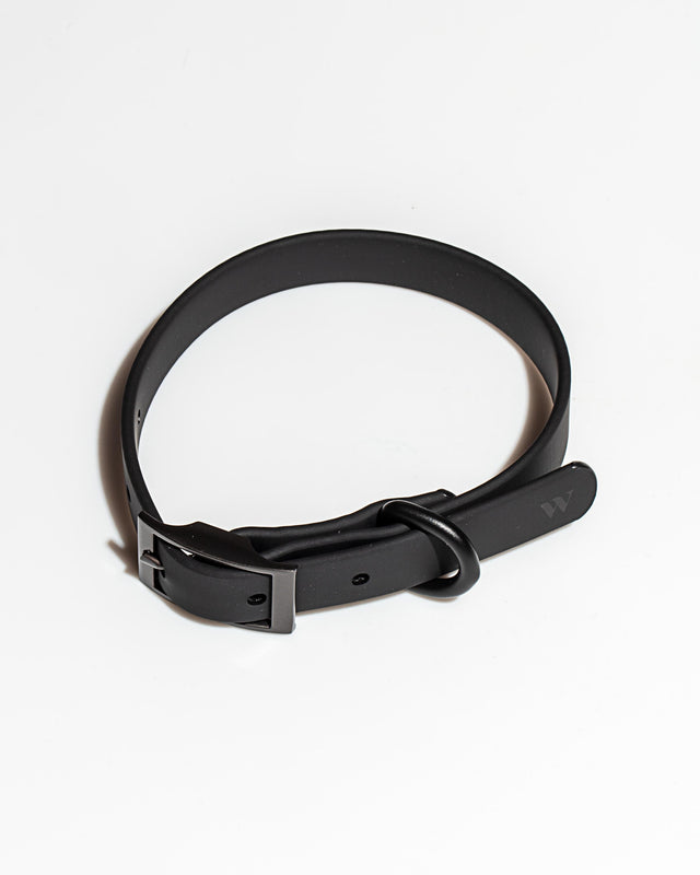 Wild One Dog Collar - Black