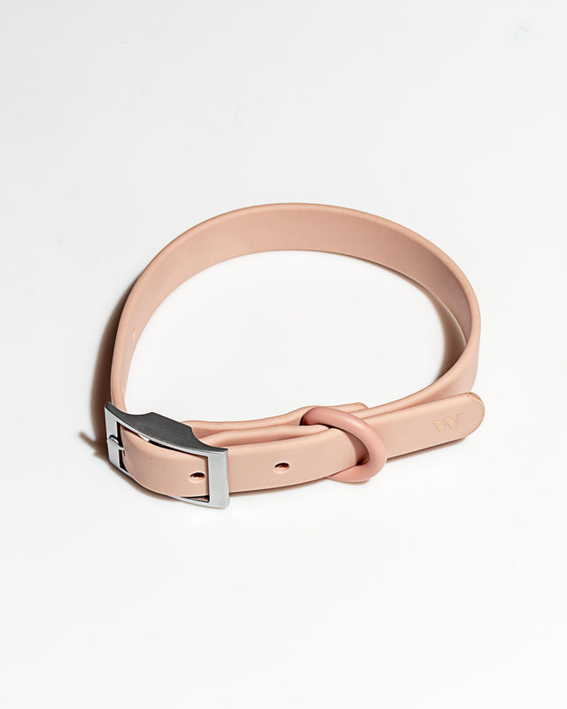 Wild One Dog Collar - Pink