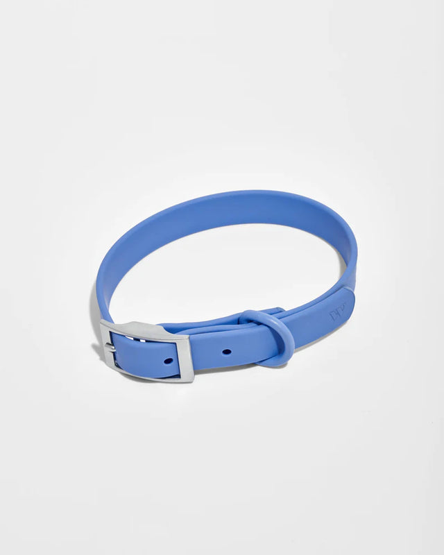 Wild One Dog Collar - Moonstone