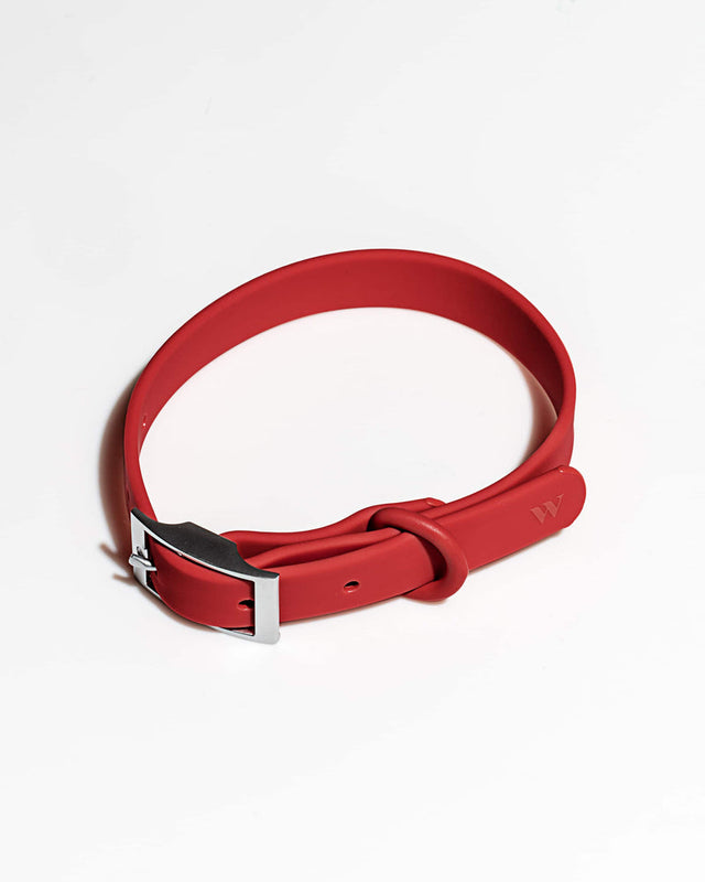 Wild One Dog Collar - Strawberry
