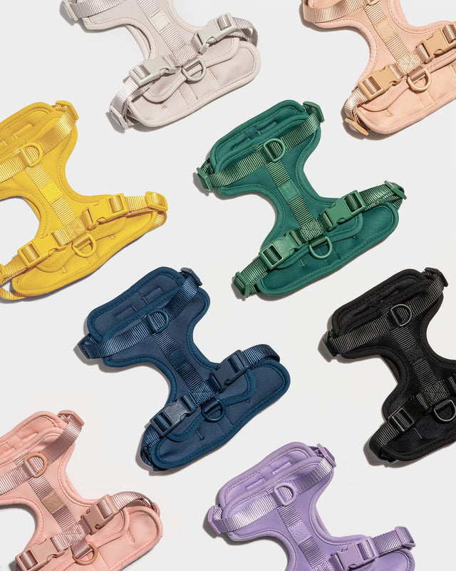 Wild One Dog Harness - Butter