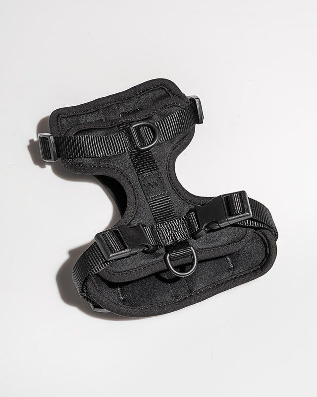 Wild One Dog Harness - Black