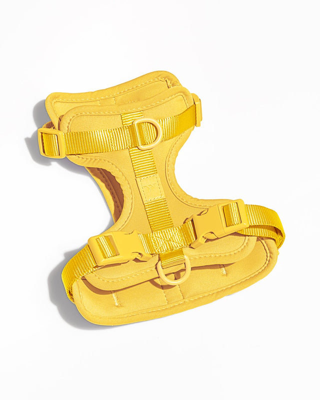 Wild One Dog Harness - Butter