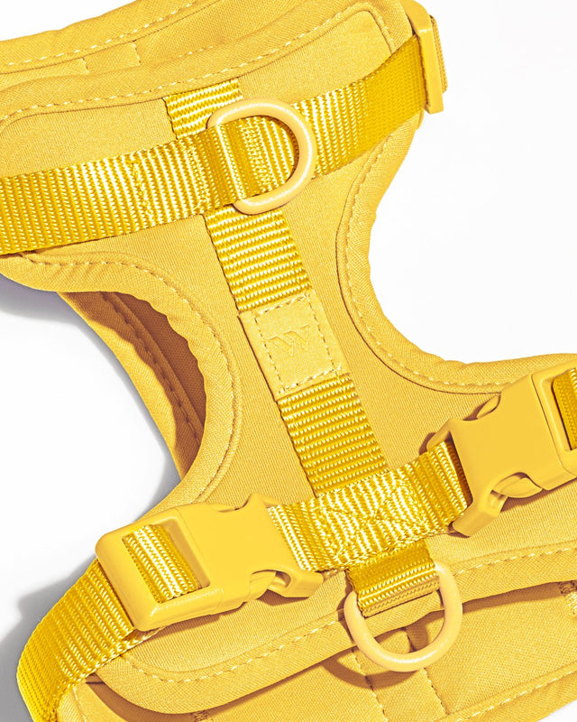 Wild One Dog Harness - Butter