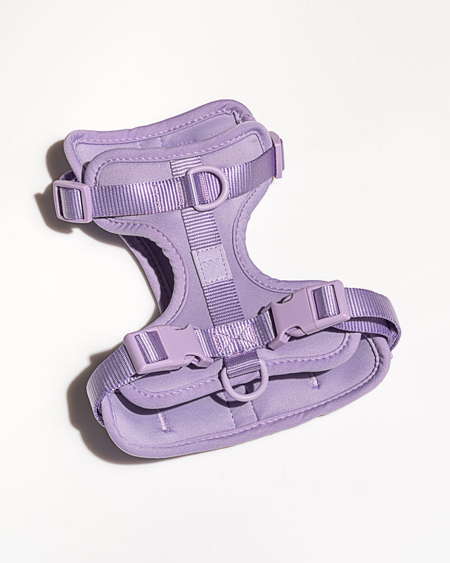 Wild One Dog Harness - Lilac