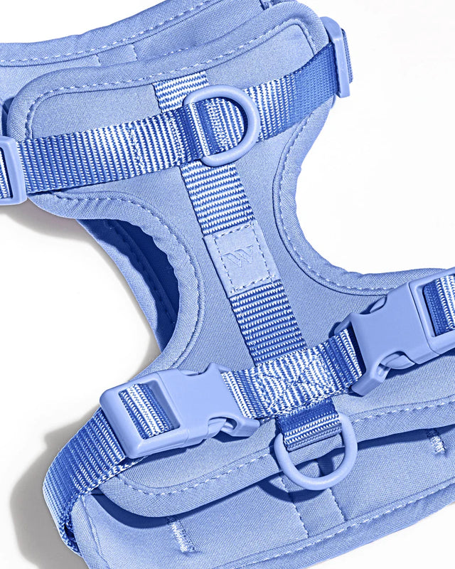 Wild One Dog Harness - Moonstone