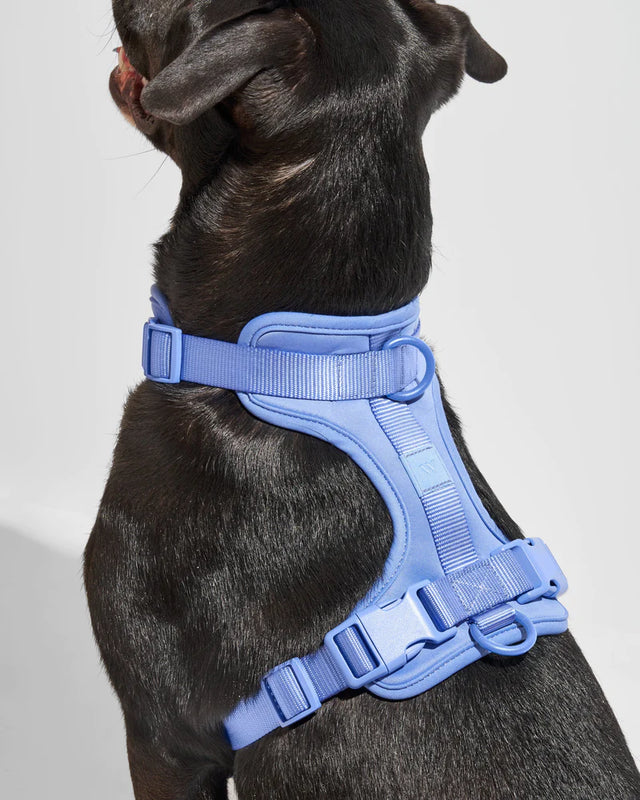 Wild One Dog Harness - Moonstone