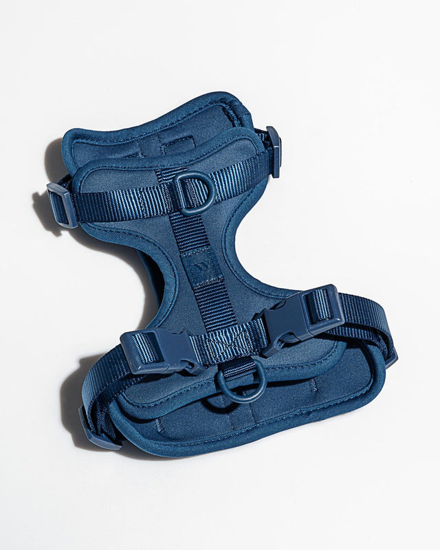 Wild One Dog Harness - Navy