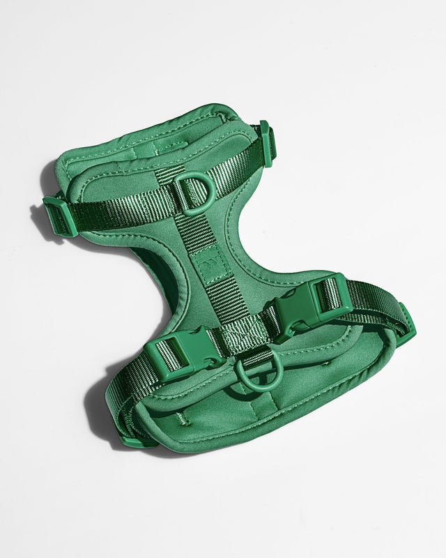 Wild One Dog Harness - Spruce