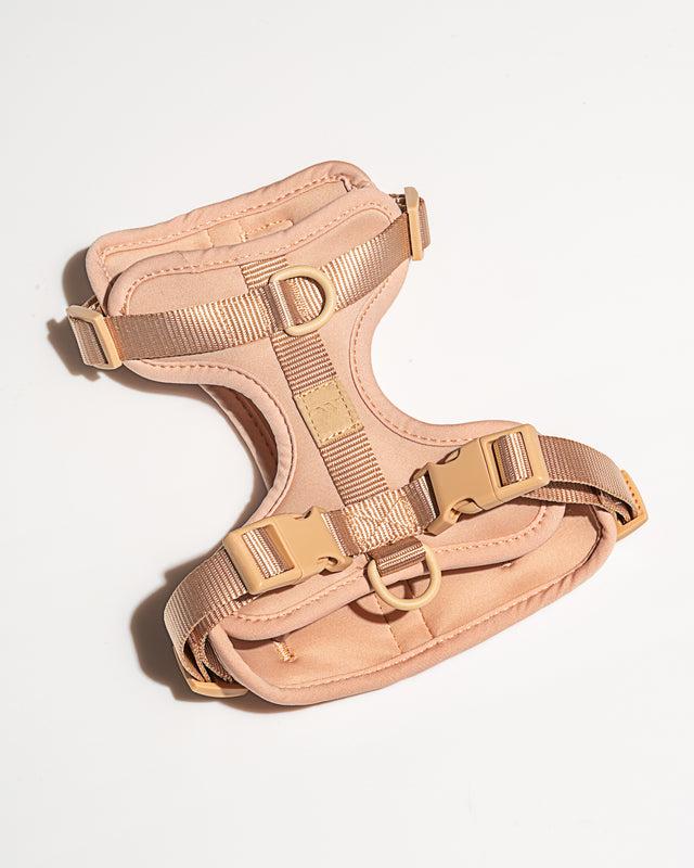 Wild One Dog Harness - Tan