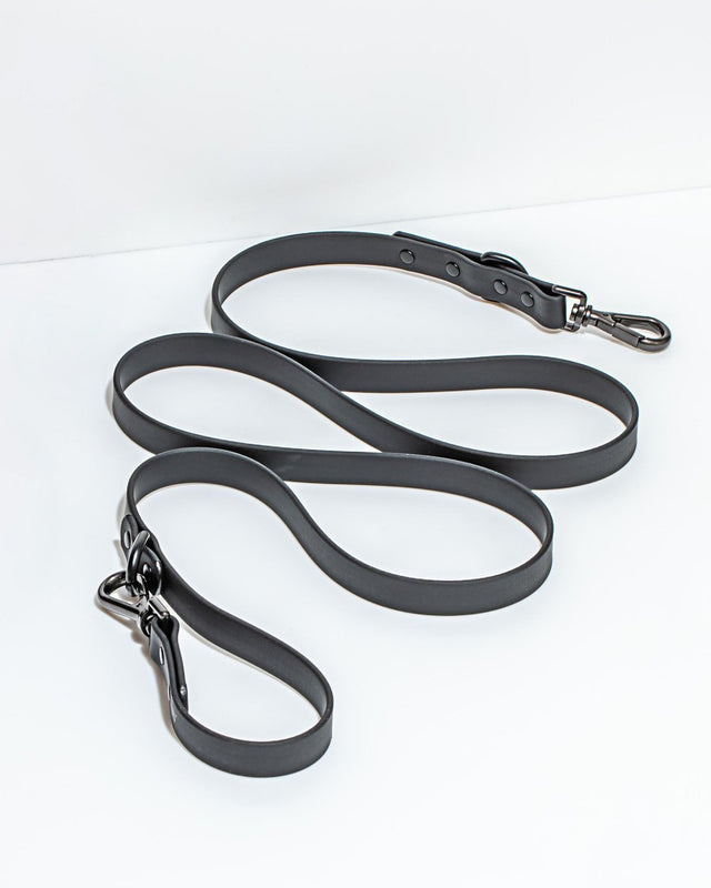 Wild One Dog Leash - Black