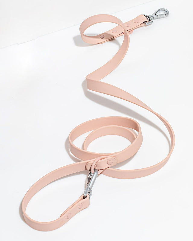 Wild One Dog Leash - Pink