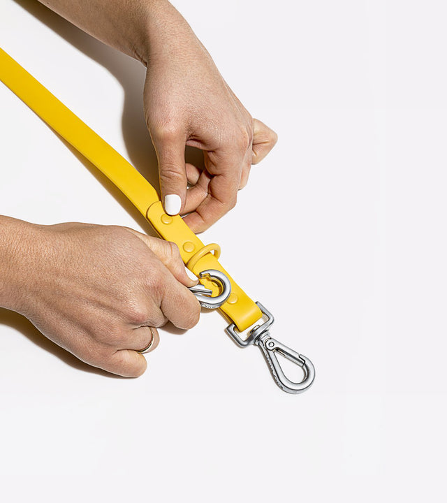 Wild One Dog Leash - Butter