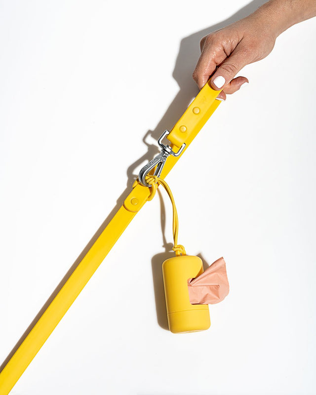 Wild One Dog Leash - Butter