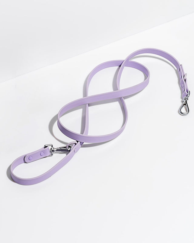 Wild One Dog Leash -Lilac