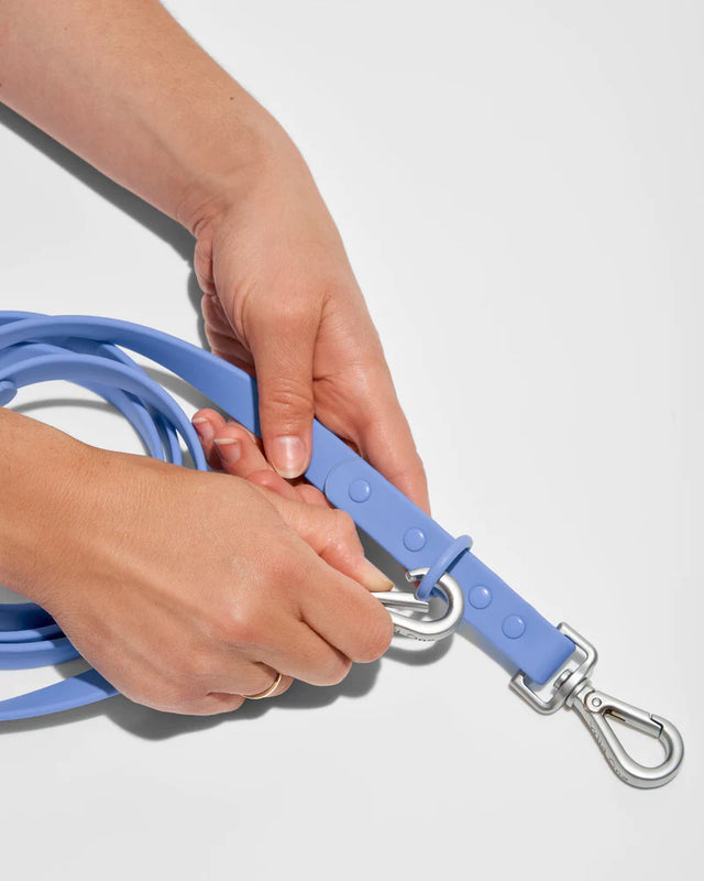 Wild One Dog Leash -Moonstone
