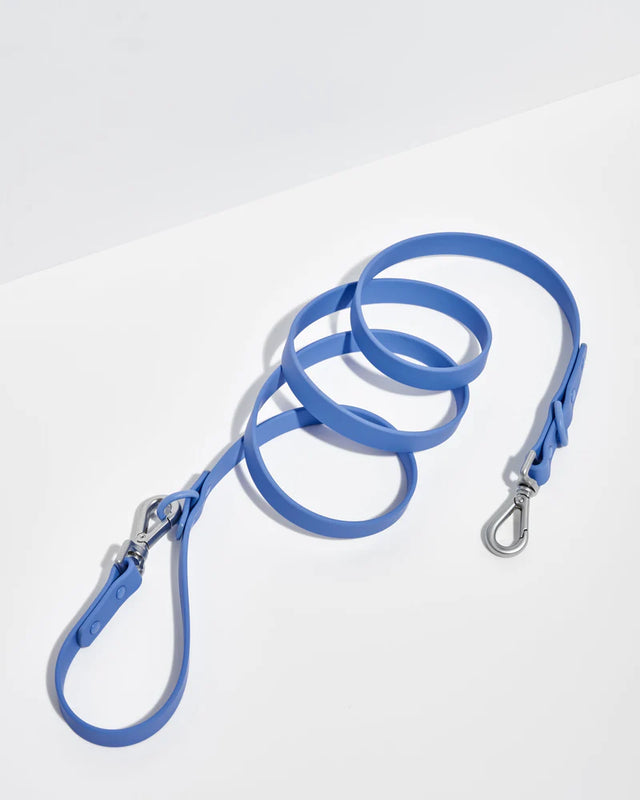 Wild One Dog Leash -Moonstone