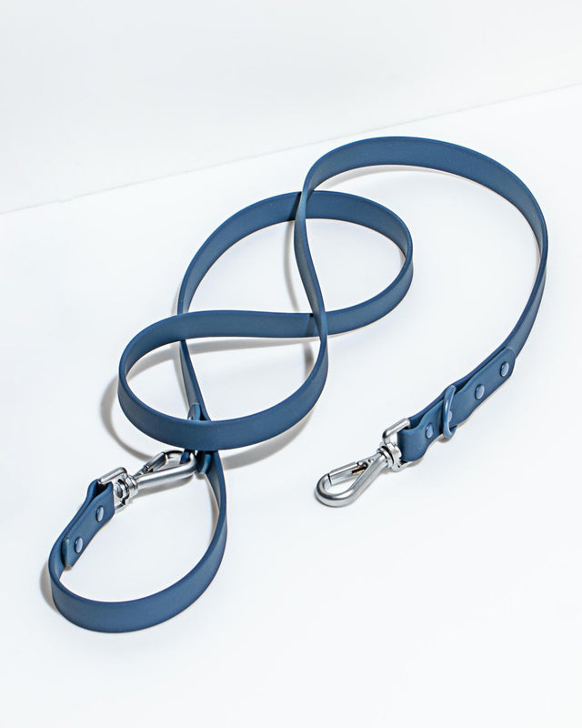 Wild One Dog Leash - Navy