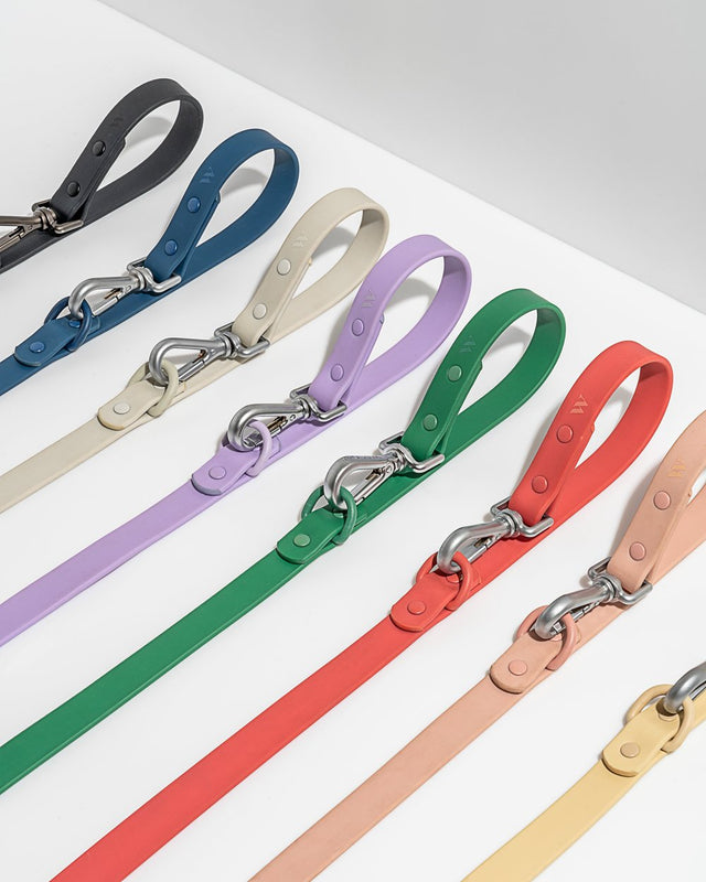 Wild One Dog Leash - Pink