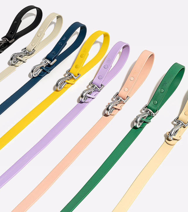 Wild One Dog Leash - Butter