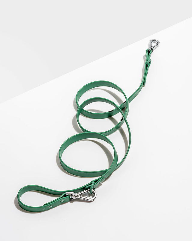 Wild One Dog Leash - Spruce