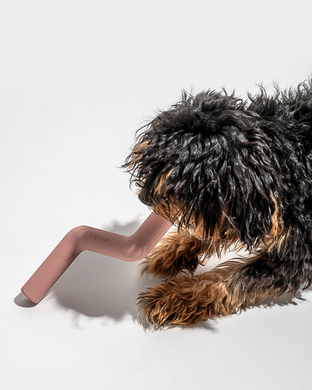 Wild One Dog Toy Bolt Bite - Pink