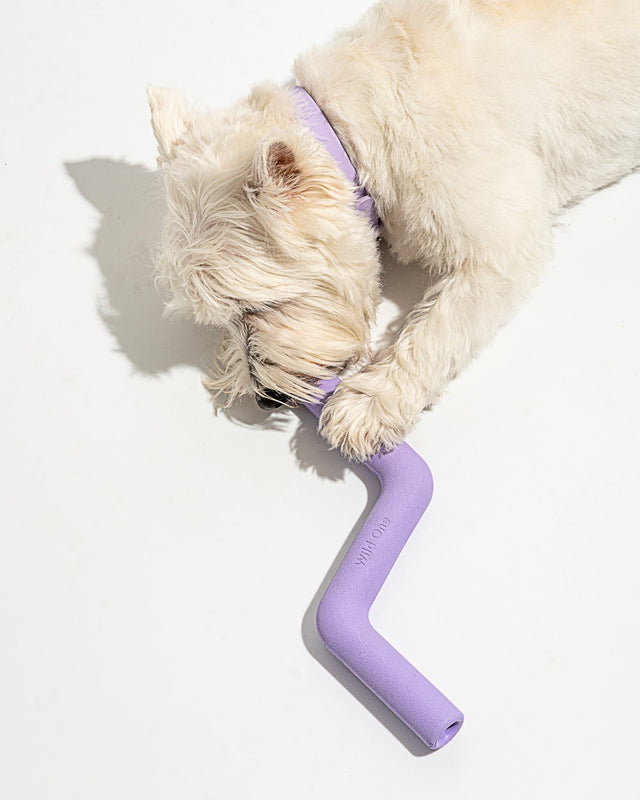 Wild One Dog Toy Bolt Bite - Lilac