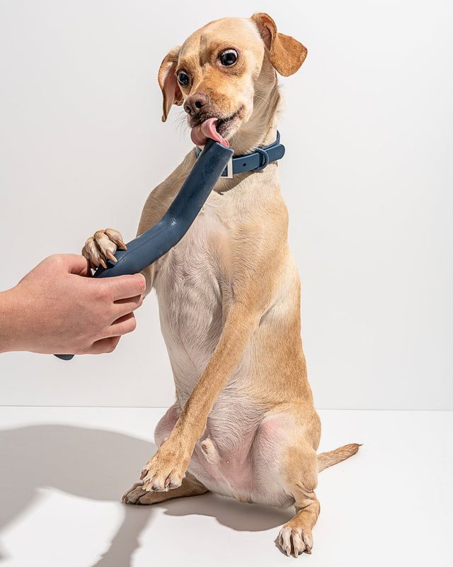 Wild One Dog Toy Bolt Bite - Navy