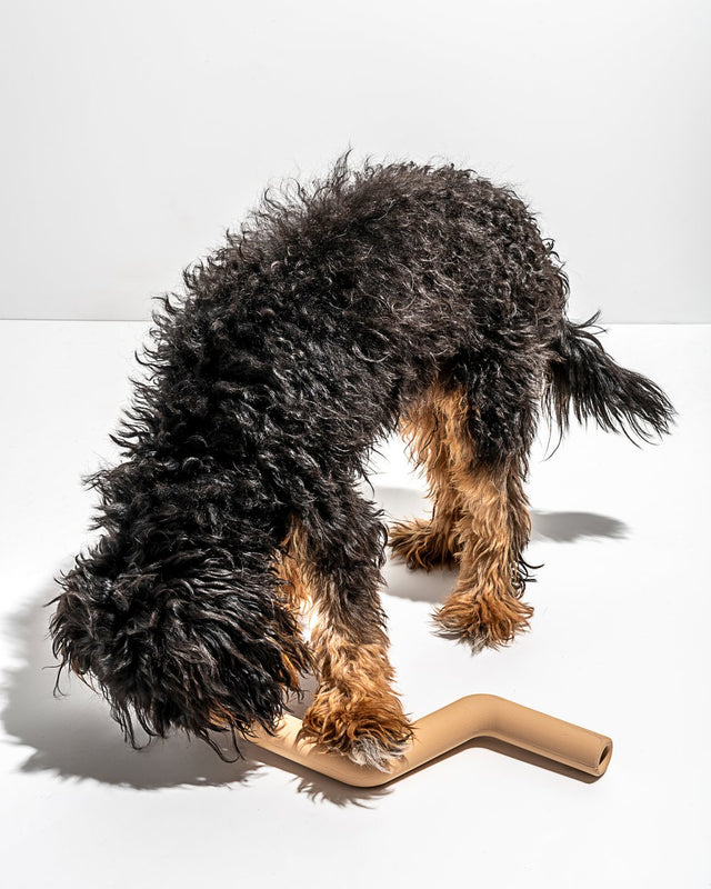 Wild One Dog Toy Bolt Bite - Tan