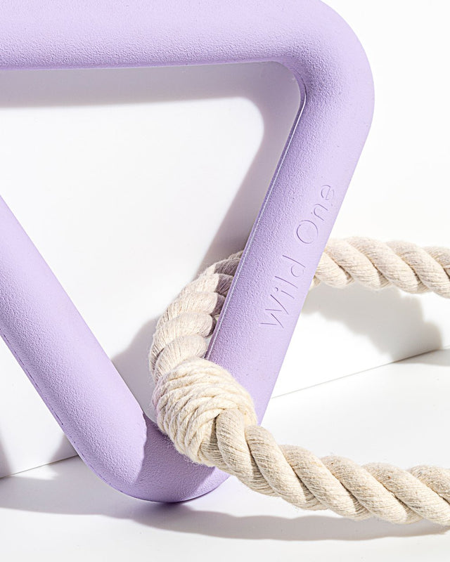 Wild One Dog Toy Triangle Tug - Lilac