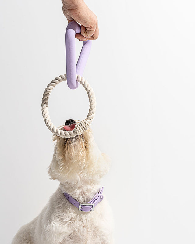 Wild One Dog Toy Triangle Tug - Lilac
