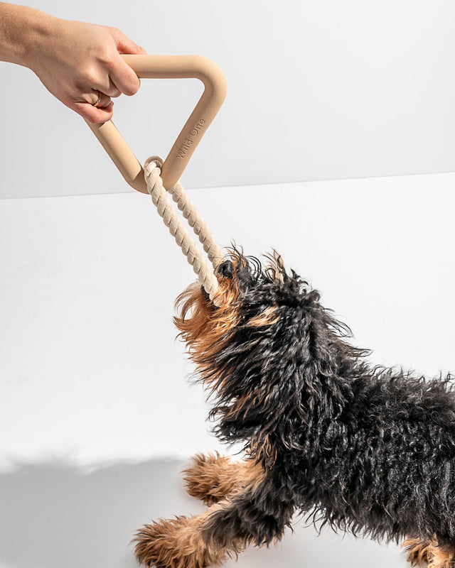 Wild One Dog Toy Triangle Tug - Tan