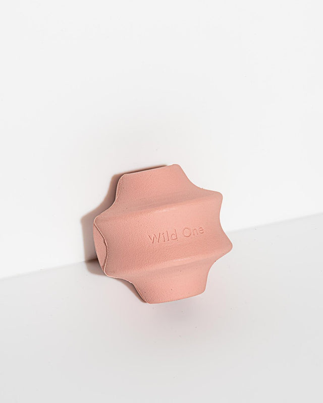 Wild One Dog Toy Twist Toss - Pink
