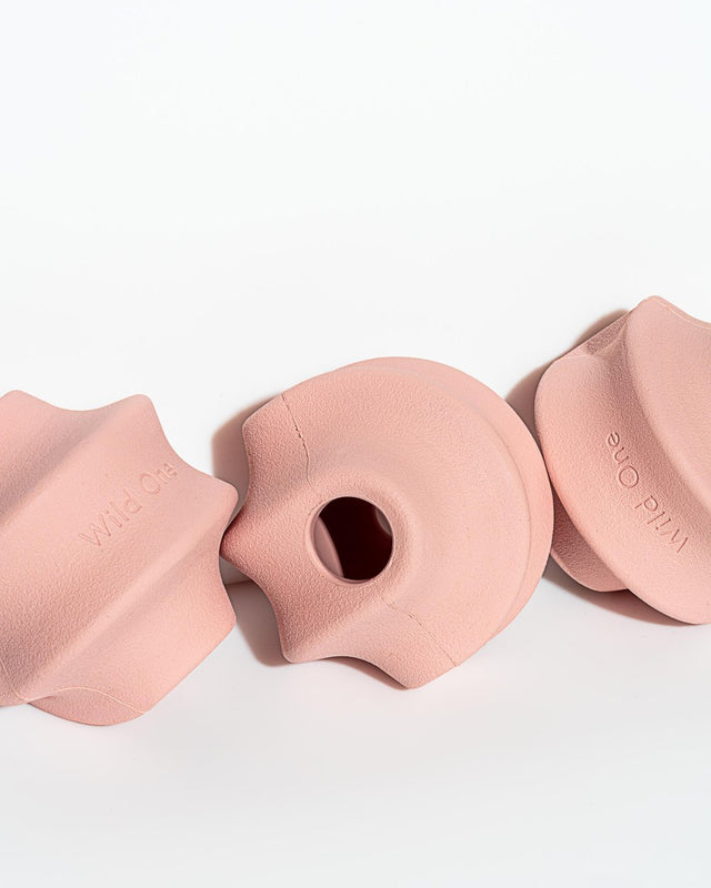 Wild One Dog Toy Twist Toss - Pink