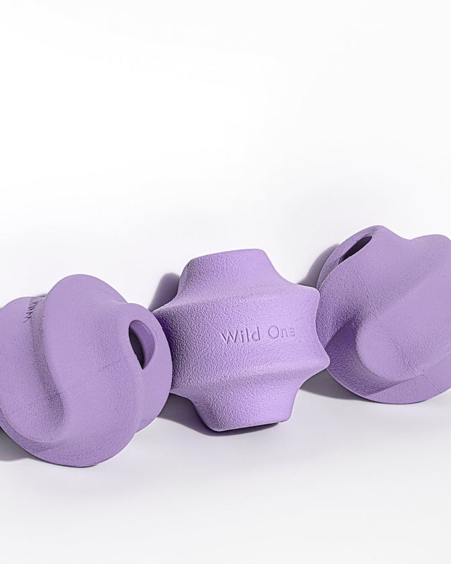 Wild One Dog Toy Twist Toss - Lilac
