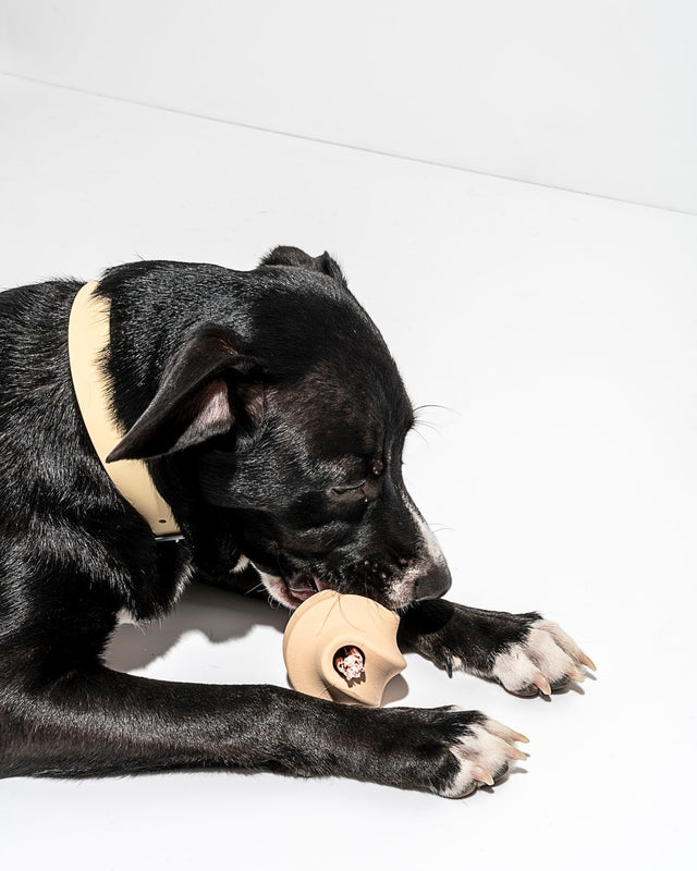 Wild One Dog Toy Twist Toss - Tan