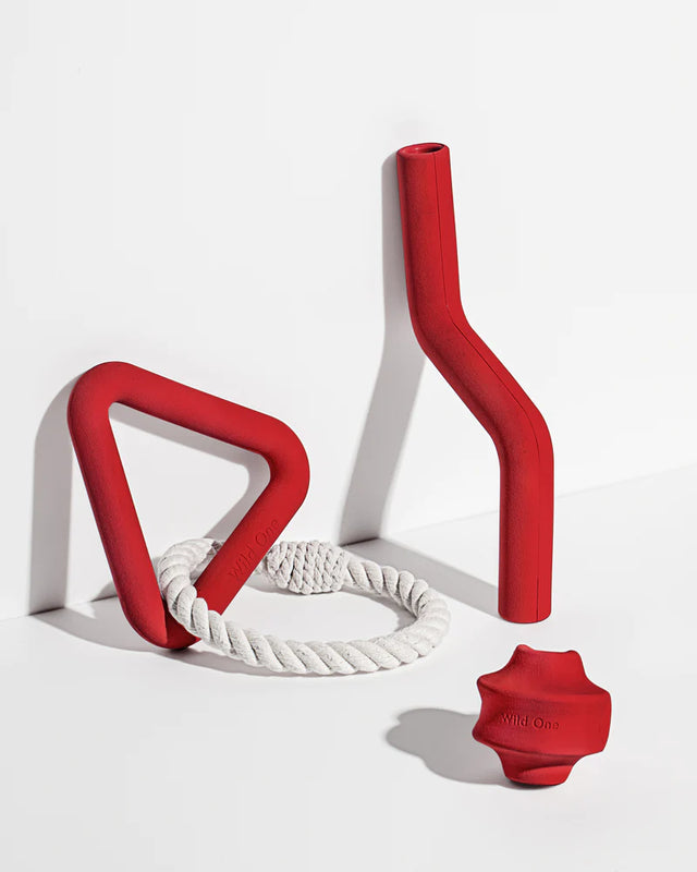 Wild One Dog Toy Twist Toss - Strawberry