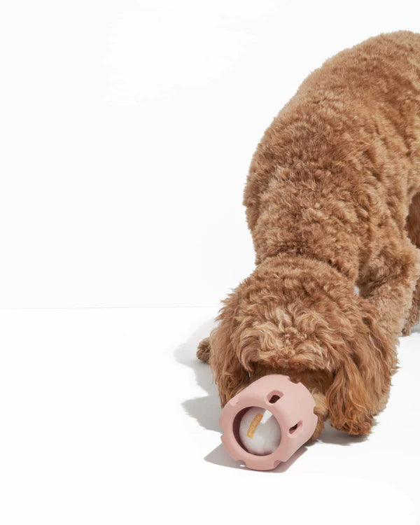 Wild One Dog Toy Tennis Tumble - Pink