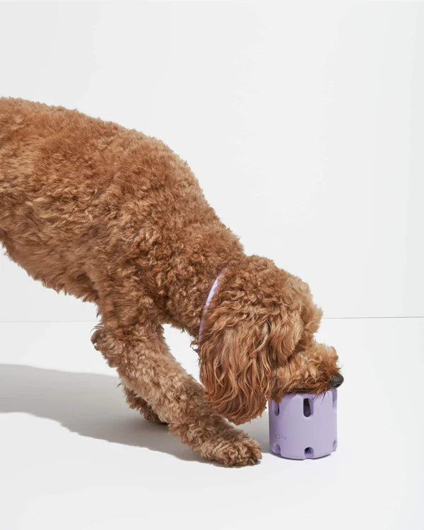 Wild One Dog Toy Tennis Tumble - Lilac