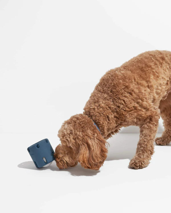 Wild One Dog Toy Tennis Tumble - Navy