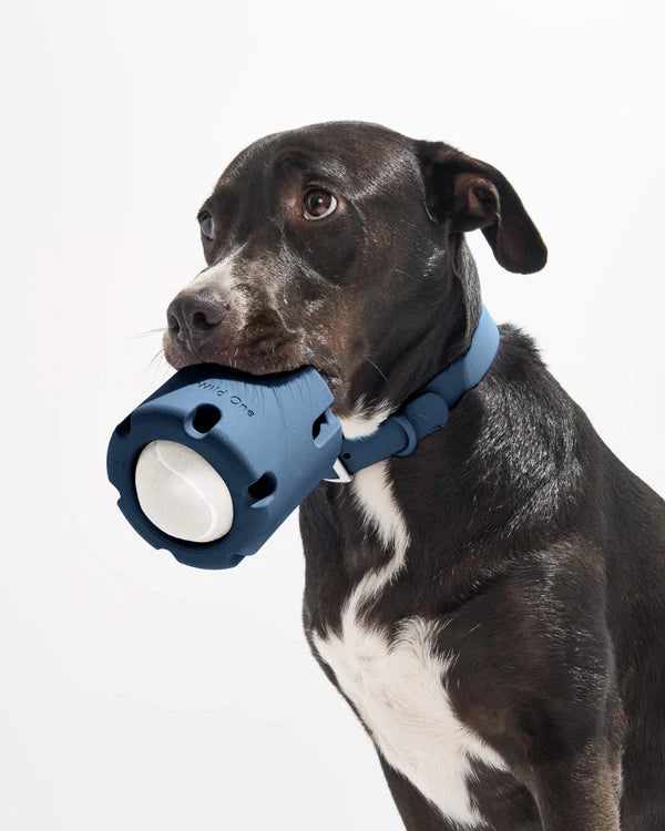 Wild One Dog Toy Tennis Tumble - Navy