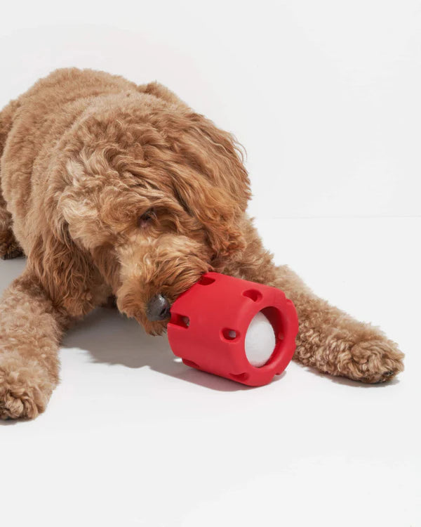 Wild One Dog Toy Tennis Tumble - Strawberry