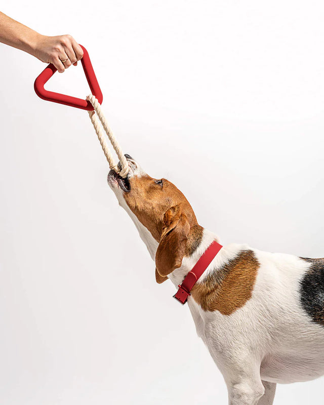 Wild One Dog Toy Triangle Tug - Strawberry