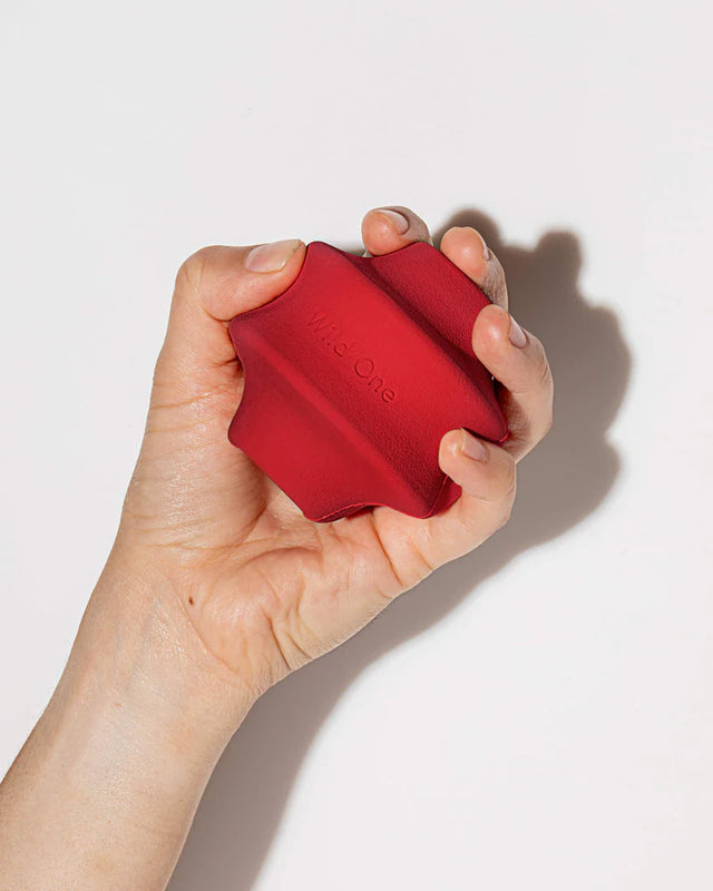 Wild One Dog Toy Twist Toss - Strawberry