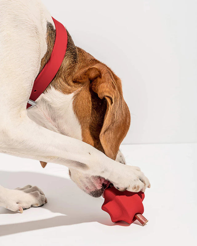 Wild One Dog Toy Twist Toss - Strawberry
