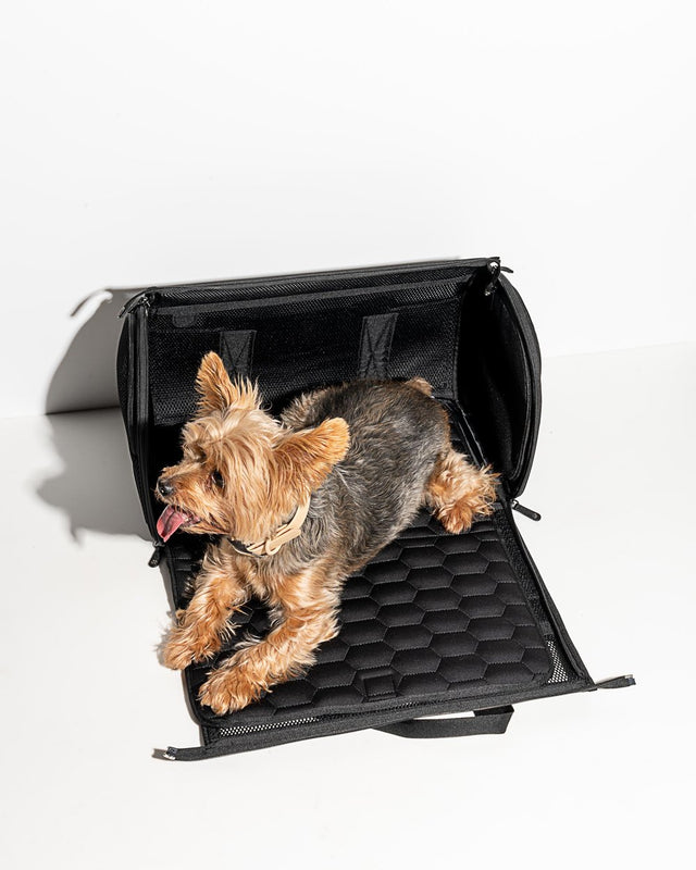 Wild One Travel Carrier - Black