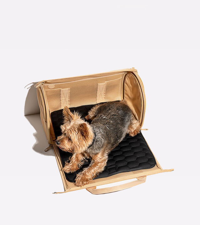 Wild One Travel Carrier - Tan