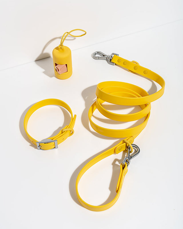 Wild One Dog Collar Walk Kit